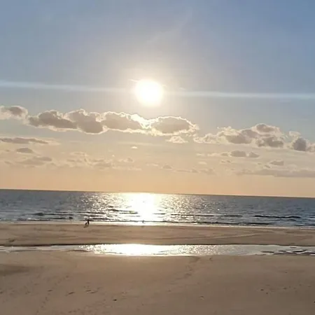 Holiday home L'escapade Suspendue - Le Cedre Rouge, Vue Pinede Et Quend-Plage